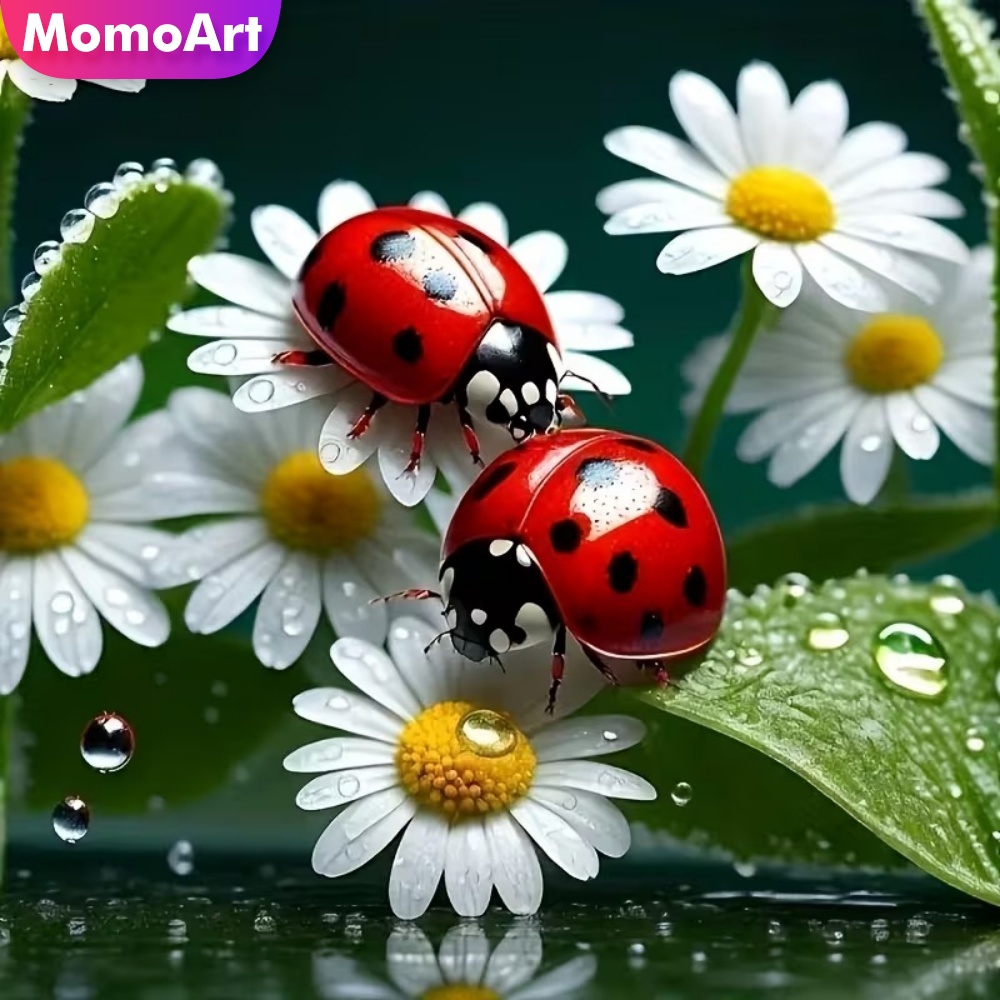 Momoart Diamond Painting Ladyb - Resin Craft For Beginners ulasan dan harga