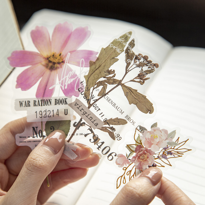 10 Pcs/Pack Corner Flower Hous - Dried Flower Bulk ulasan dan harga