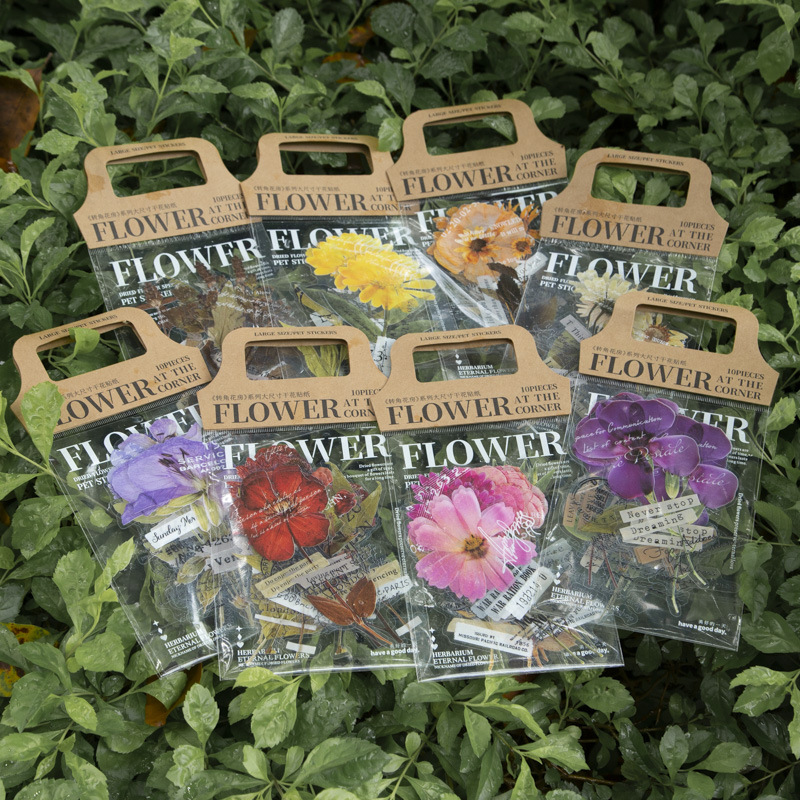 10 Pcs/Pack Corner Flower Hous - Dried Flower Bulk ulasan dan harga