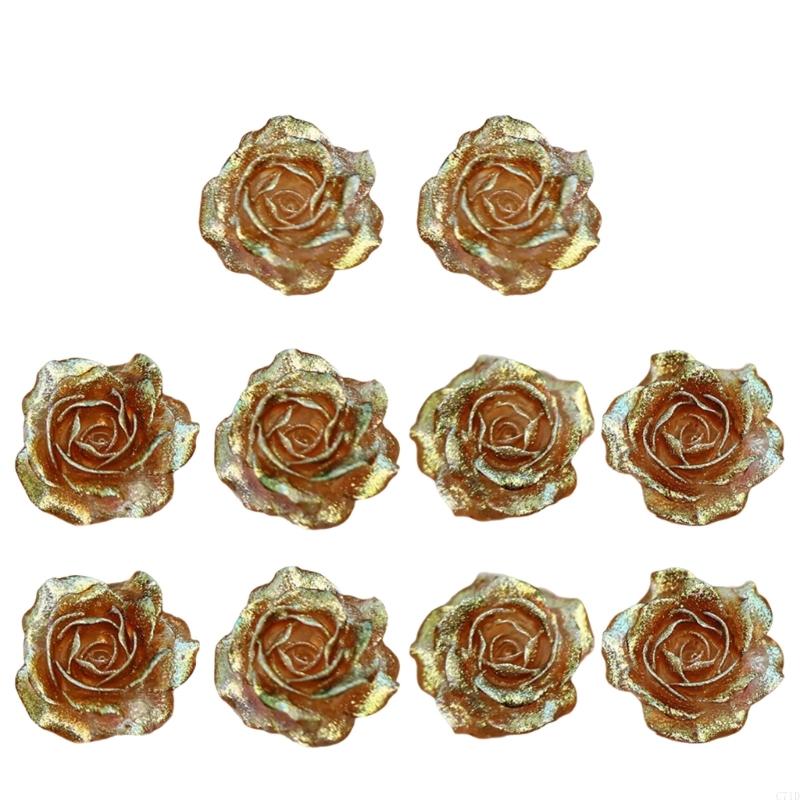  Pack of 10 Shimmering Resin C - Resin Glitter Pack ulasan dan harga