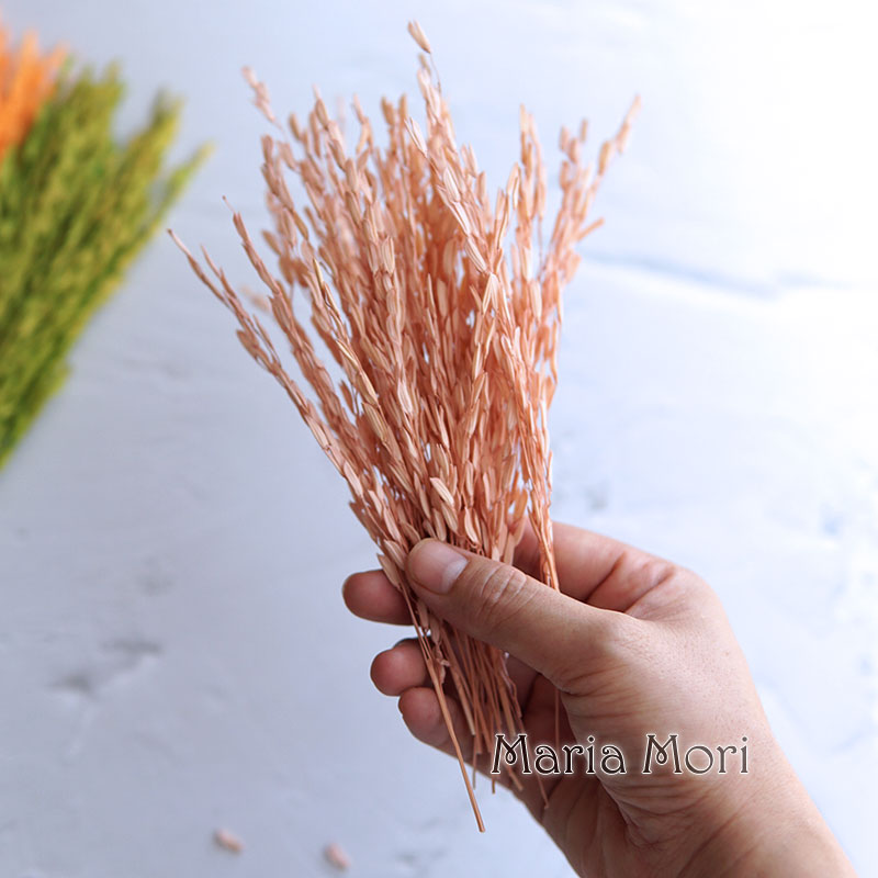 5g/Broomcorn Dyed Dried Nature - Dried Flower Bulk ulasan dan harga