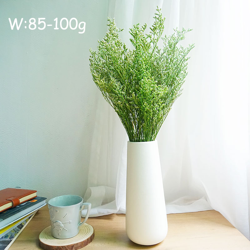 50g/Preserved Valentine's Gras - Dried Flower Bulk ulasan dan harga