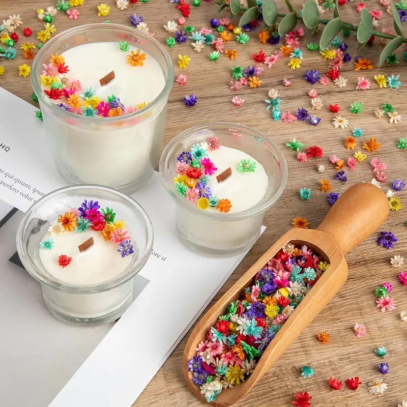 Mixed Colorful Flower for Wax  - Resin Craft Ideas ulasan dan harga