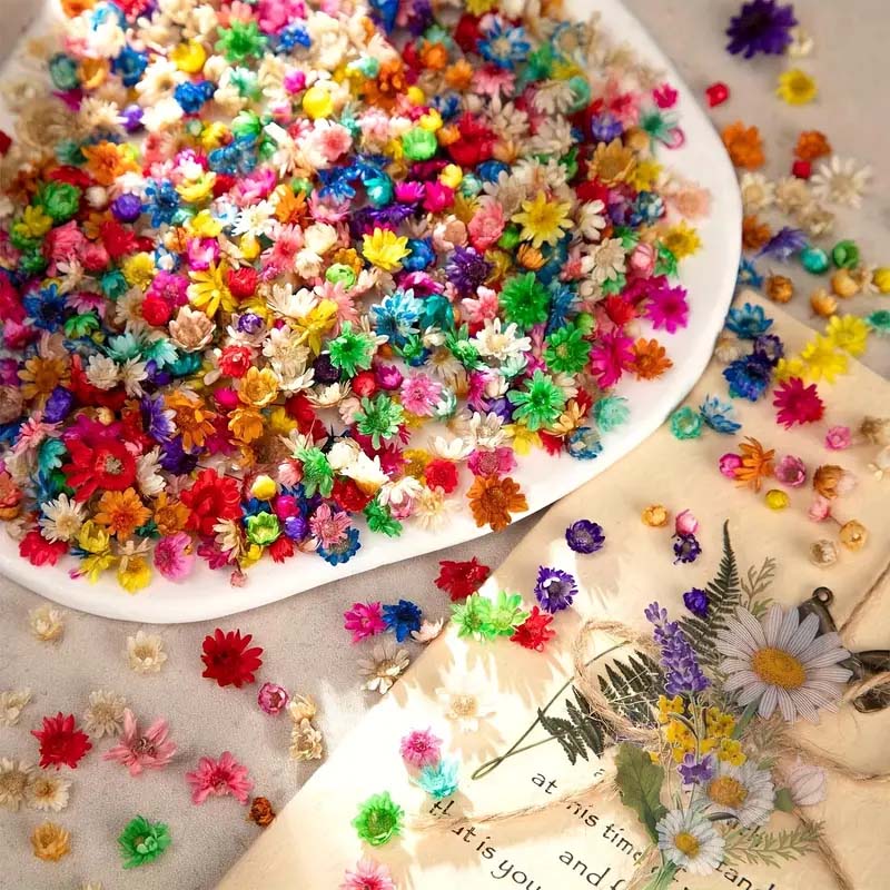 Mixed Colorful Flower for Wax  - Resin Craft Ideas ulasan dan harga