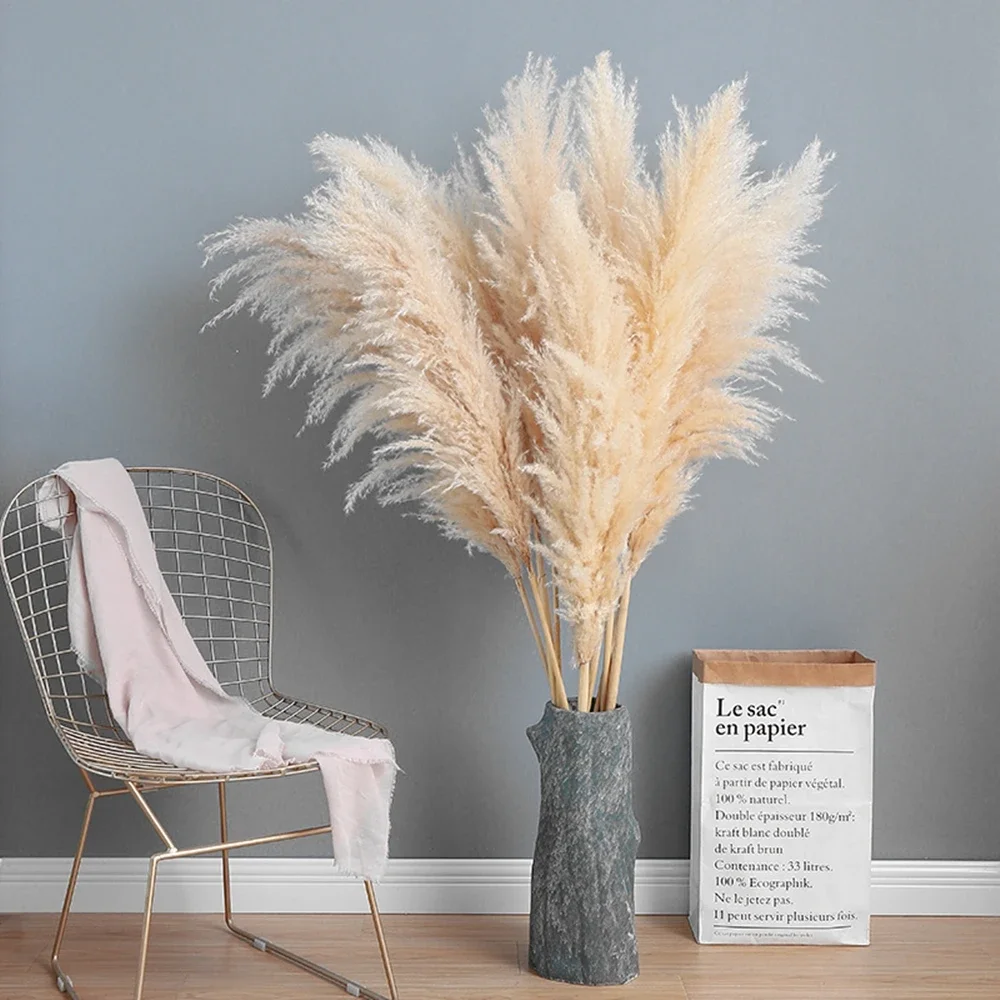 120cm - 130cm Fluffy Large Pam - Dried Flower Bulk ulasan dan harga