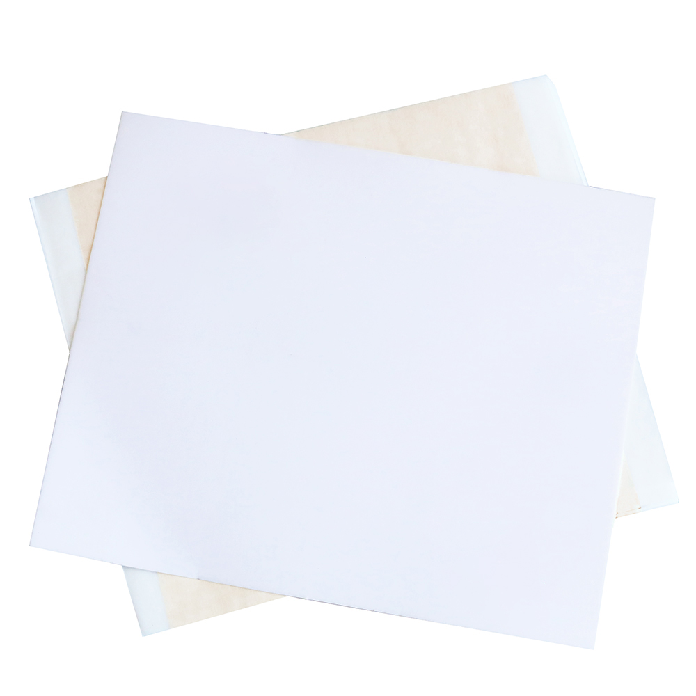 13x13.5cm Champagne Silver Foi - Gold Foil Flakes ulasan dan harga