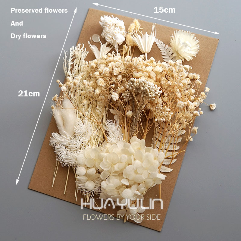 1 Pack Artificial Plants Dried - Dried Flower Bulk ulasan dan harga
