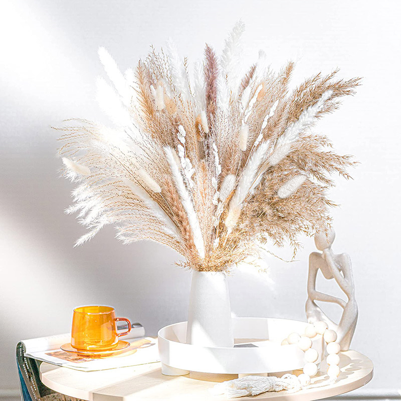 60-100PCS Natural Dried Pampas - Dried Flower Bulk ulasan dan harga