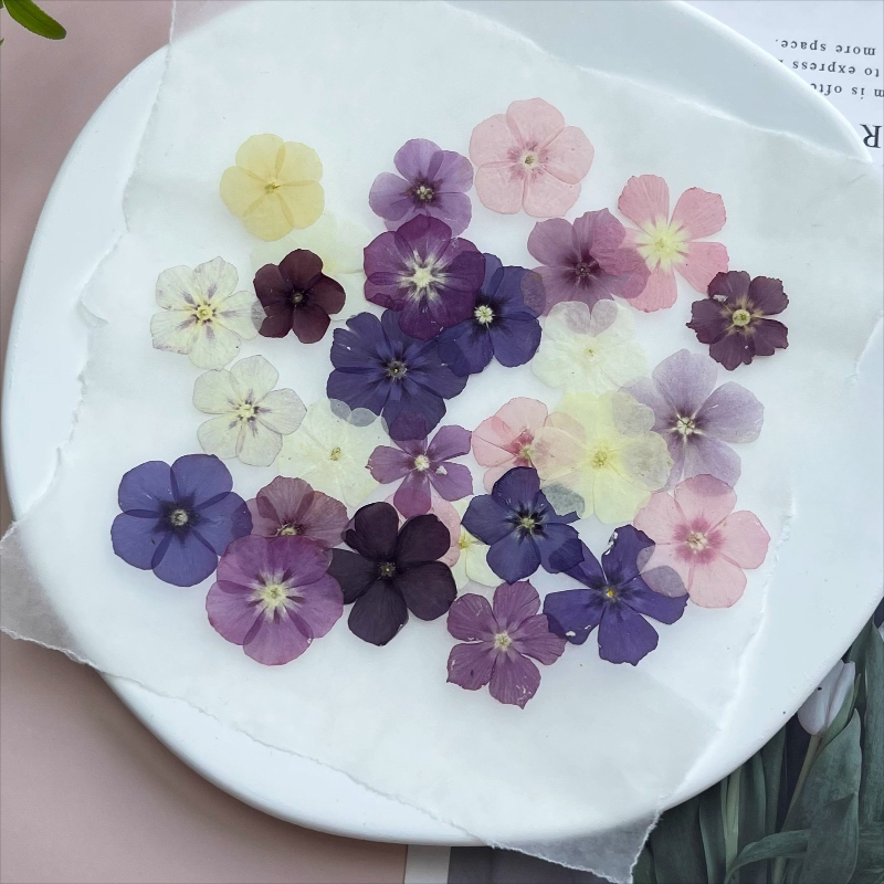 12pcs,Semi-Transparent Niche P - Resin Craft Ideas ulasan dan harga