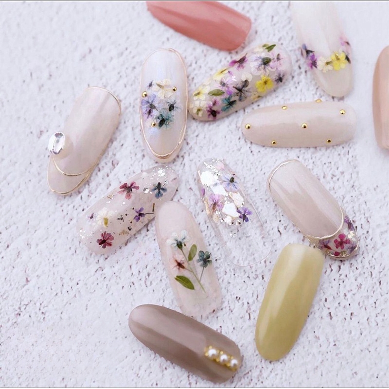 Mixed Small Dried Flowers Nail - Dried Flower Bulk ulasan dan harga